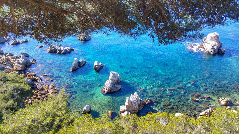 Pesca a Lloret de Mar - i migliori luoghi di pesca e battute di pesca -  Informazioni su Lloret de Mar - Tutte le informazioni per la tua vacanza  perfetta a Lloret!